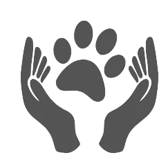 個別火葬のイメージ